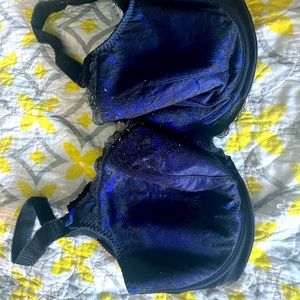 Beautiful blue bra
